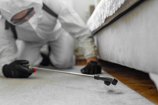 Professional Emergency Pest Control technician working in South Glens Falls, NY