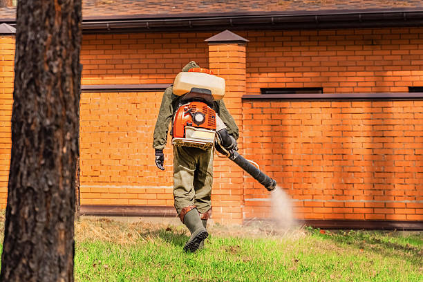 Trusted Rodent Control service in South Glens Falls, NY - Nex Pest Control